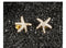 White Gold Platted Copper CZ Stud Earrings for Women, Brilliant Cut Round Cubic Zirconia Stud Earrings, Birthstone Stud Earrings for Mom/Girls,Starfish